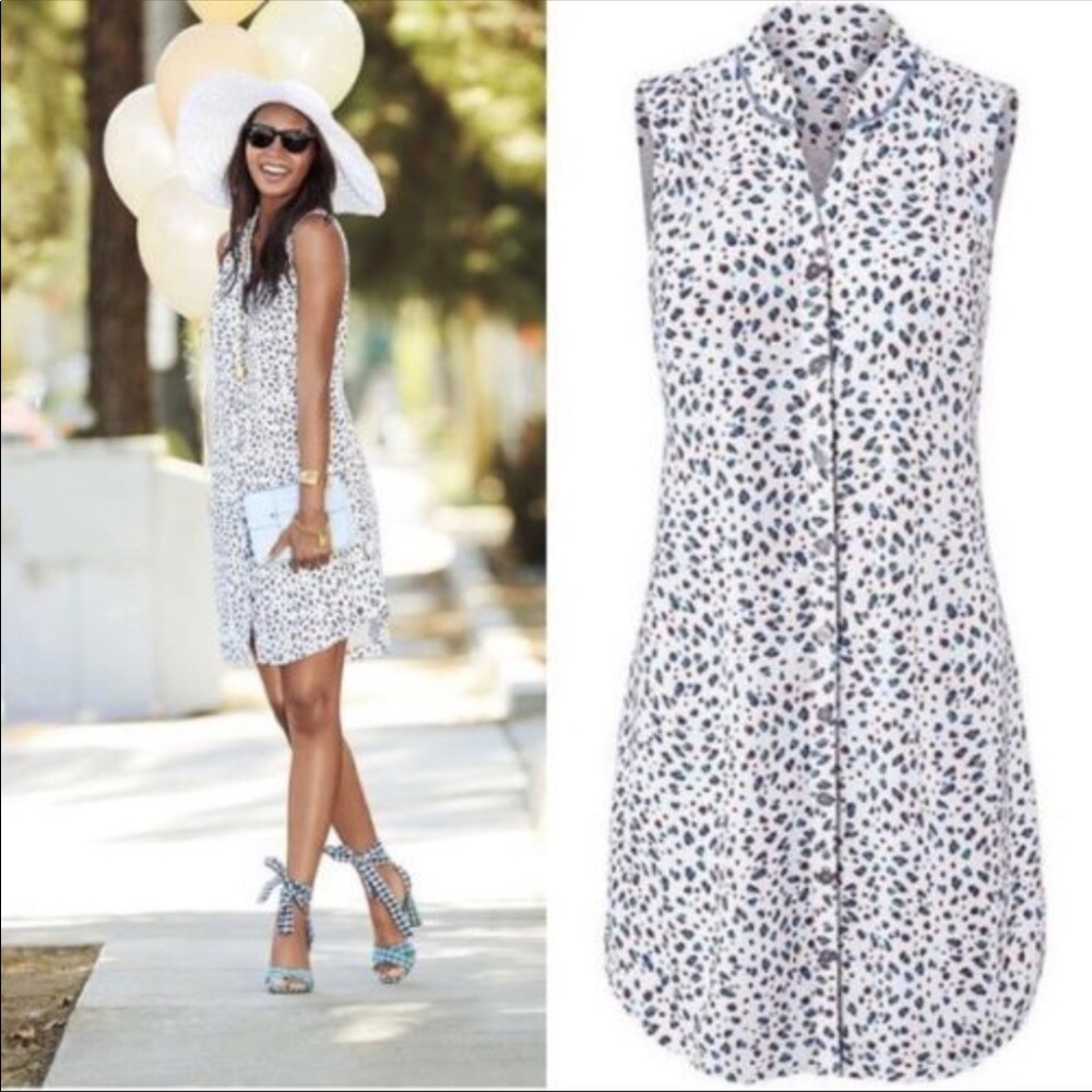 Cabi Camilla shirtdress